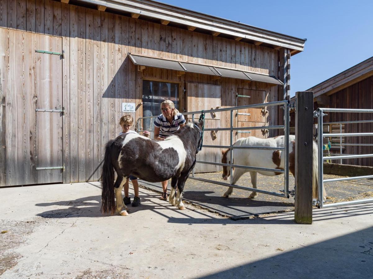 Narzenhof Wellness Chalets, Familien & Luxus Apartments Am Bauernhof Sankt Johann in Tirol Zewnętrze zdjęcie