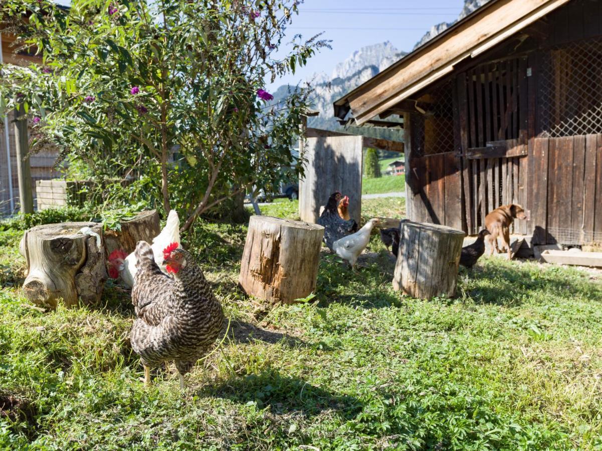 Narzenhof Wellness Chalets, Familien & Luxus Apartments Am Bauernhof Sankt Johann in Tirol Zewnętrze zdjęcie