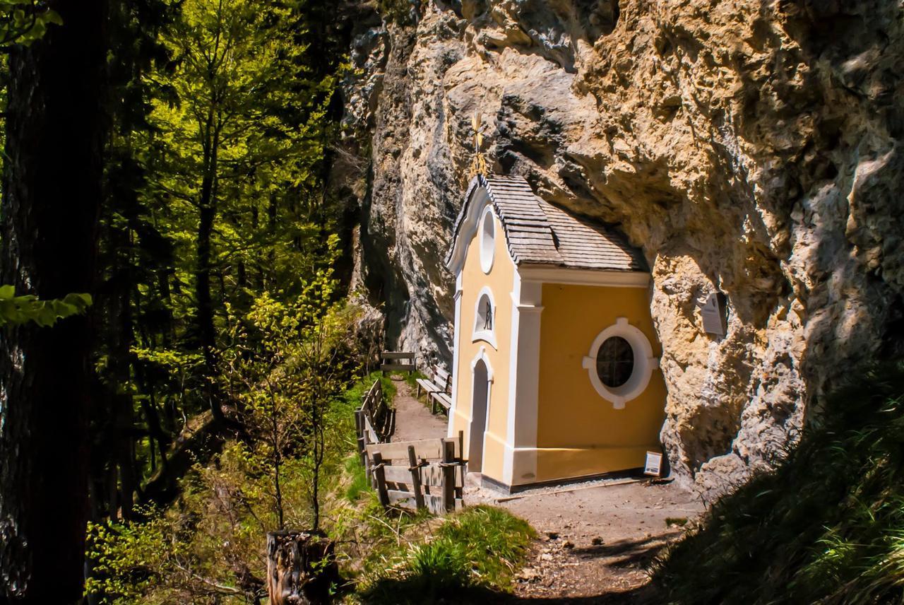Narzenhof Wellness Chalets, Familien & Luxus Apartments Am Bauernhof Sankt Johann in Tirol Zewnętrze zdjęcie