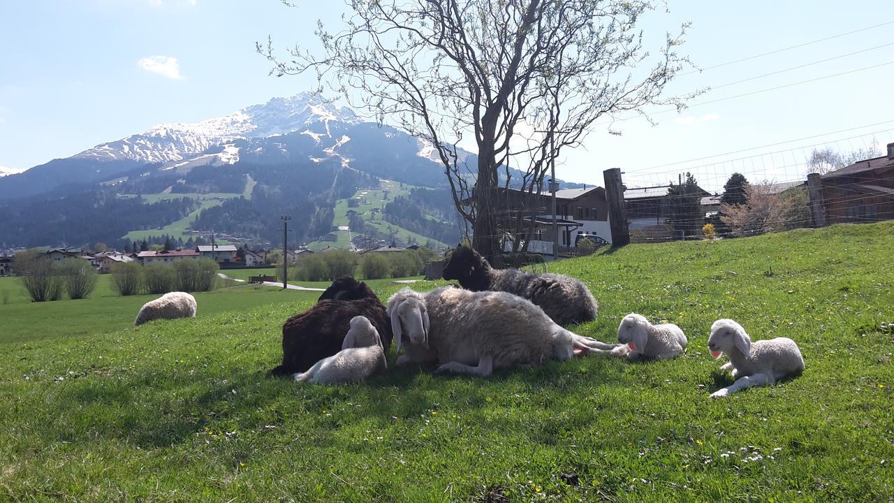 Narzenhof Wellness Chalets, Familien & Luxus Apartments Am Bauernhof Sankt Johann in Tirol Zewnętrze zdjęcie