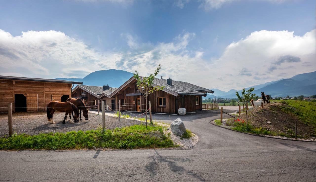 Narzenhof Wellness Chalets, Familien & Luxus Apartments Am Bauernhof Sankt Johann in Tirol Zewnętrze zdjęcie